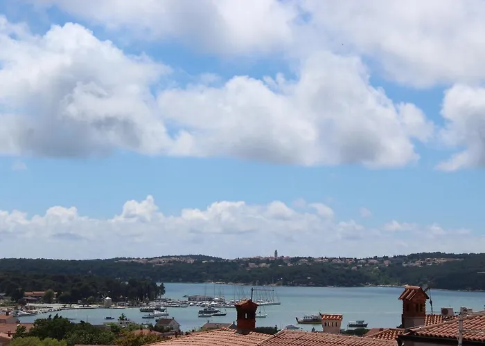 Medulinka 아파트 *